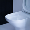 ModernLife Back to Wall Toilet Suite
