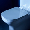 ModernLife Back to Wall Toilet Suite