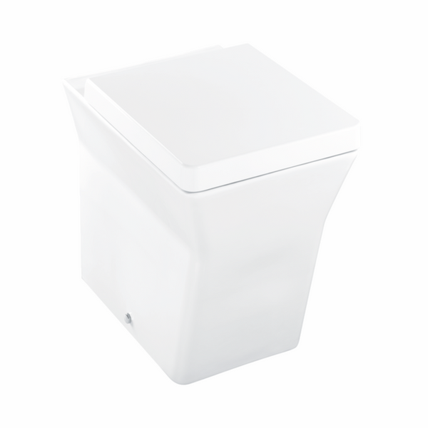 Reve Wall Faced Toilet with Oval flush panel