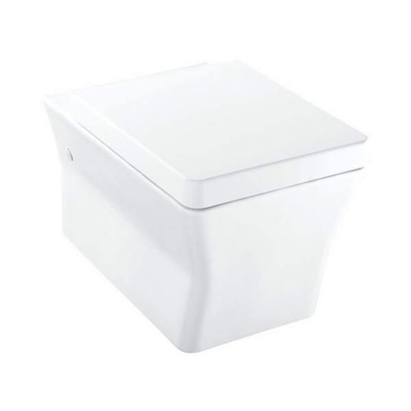 Reve Wall Hung Toilet with Oval flush panel