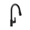 Taut Pull Out Spray Kitchen Mixer